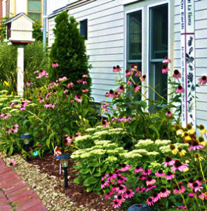 South garden next to shaw house porch