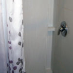 Bird-Werner room showing shower